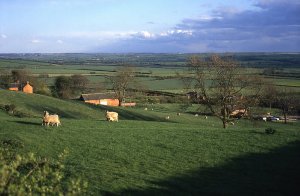 Leicestershire Rural Conference 2012