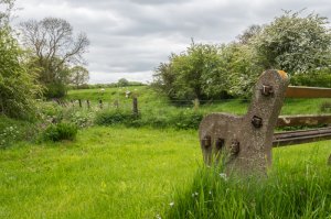 Hinckley and Bosworth Rural Conference