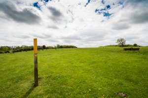 Rural Planning Review: Call for Evidence