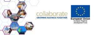 Collaborate Project Events Calendar 2018